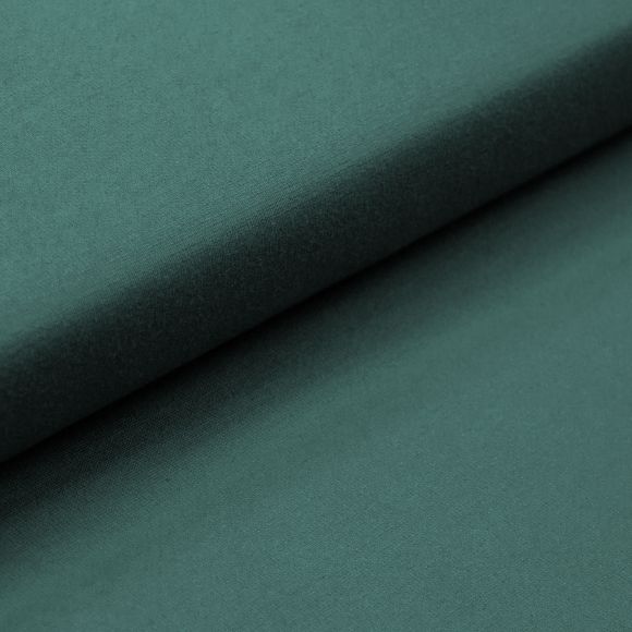 50 cm Coupon // Romanit Jersey - Viskose "uni" (flussgrün)