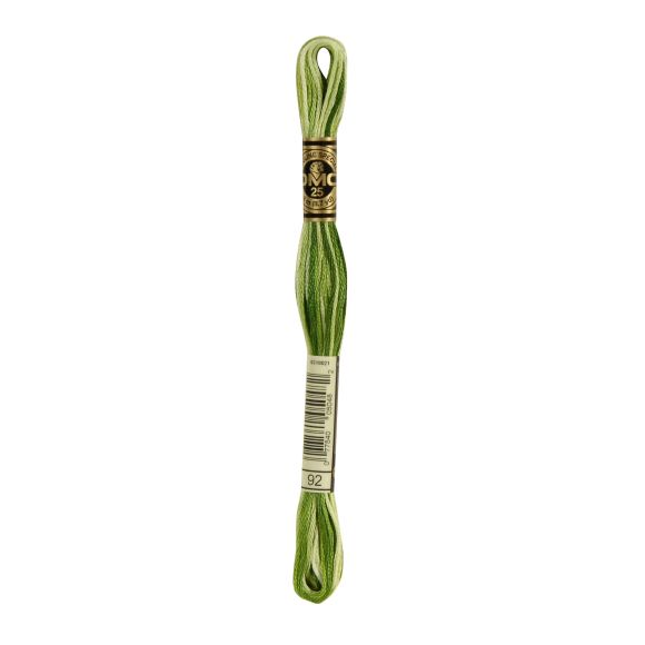 DMC Fil à broder "Mouliné Spécial®" écheveau de 8 m - à 6 brins (92/multicolore vert)