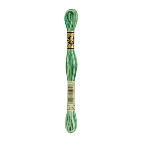 DMC Fil à broder "Mouliné Spécial®" écheveau de 8 m - à 6 brins (125/multicolore vert)