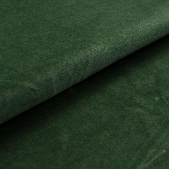 Coton bio Nicki "uni - kombu green" (vert foncé) de C. PAULI