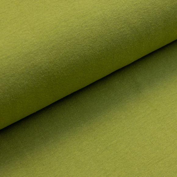 Tissu bord côte bio lisse "Ben" - tubulaire (vert clair)